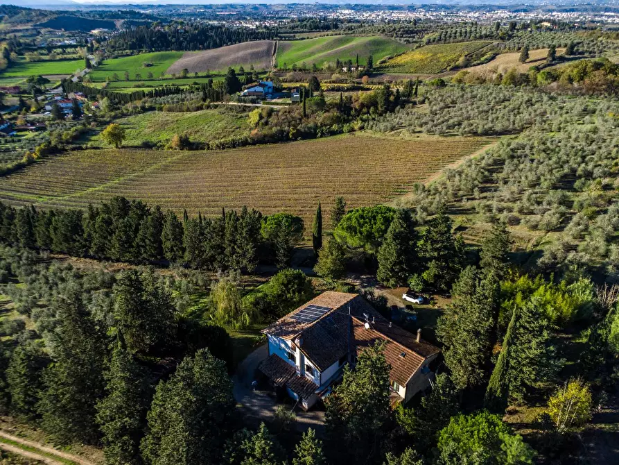 Immagine 15 di Azienda agricola in vendita  a Empoli