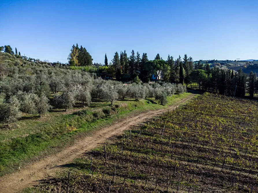 Immagine 4 di Azienda agricola in vendita  a Empoli
