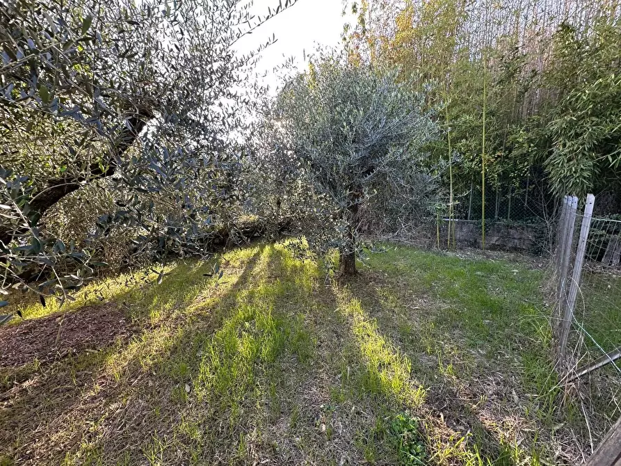 Immagine 9 di Deposito in vendita  a Lucca