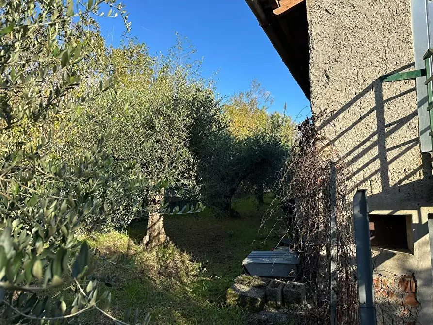 Immagine 3 di Deposito in vendita  a Lucca