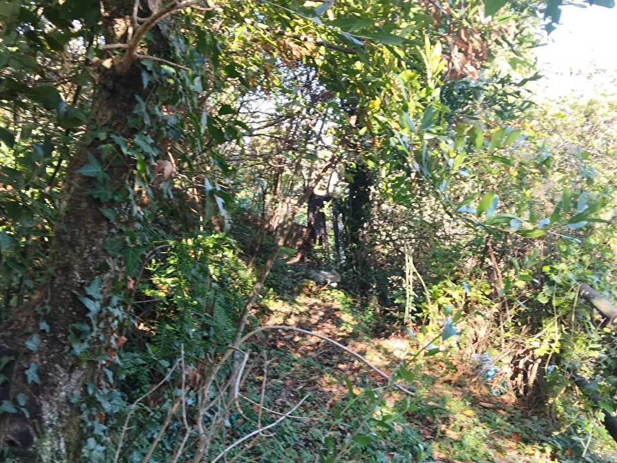 Immagine 12 di Porzione di casa in vendita  a Fivizzano