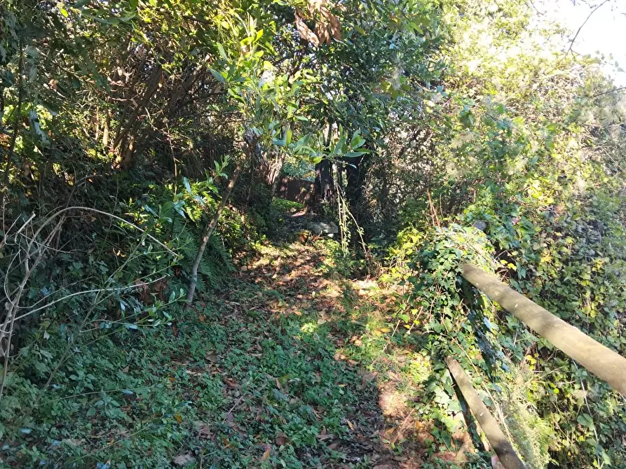 Immagine 11 di Porzione di casa in vendita  a Fivizzano