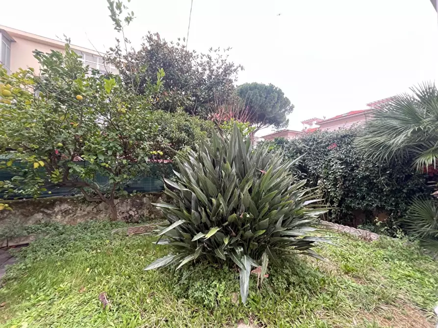 Immagine 16 di Villetta a schiera in affitto  a Livorno