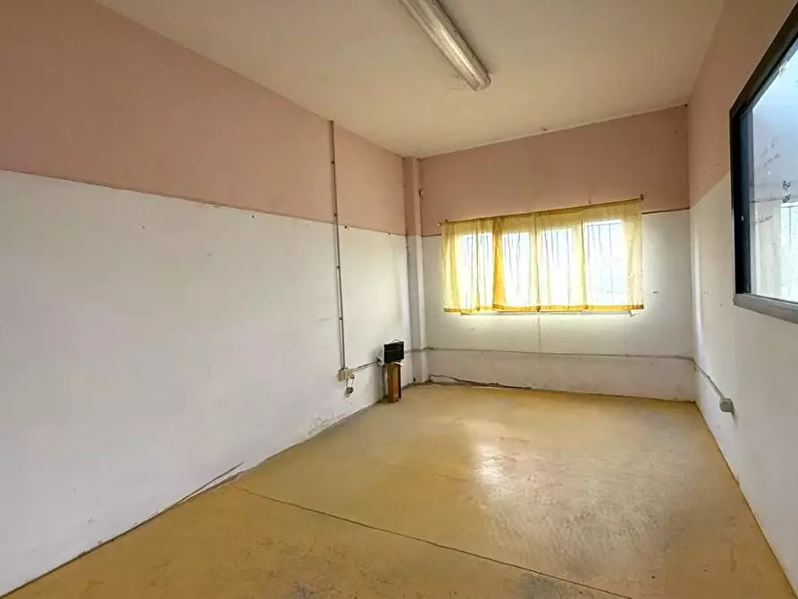 Immagine 3 di Attività artigianale in affitto  a Bientina