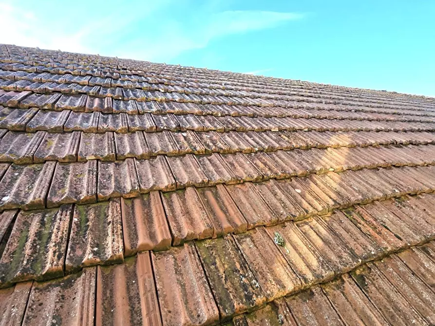 Immagine 13 di Attività artigianale in vendita  a Colle Di Val D'elsa