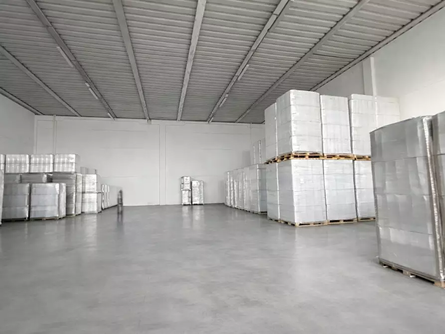 Immagine 1 di Attività artigianale in affitto  a Bientina