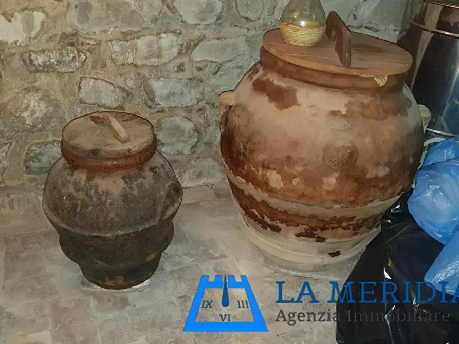 Immagine 17 di Terratetto in vendita  a Lamporecchio