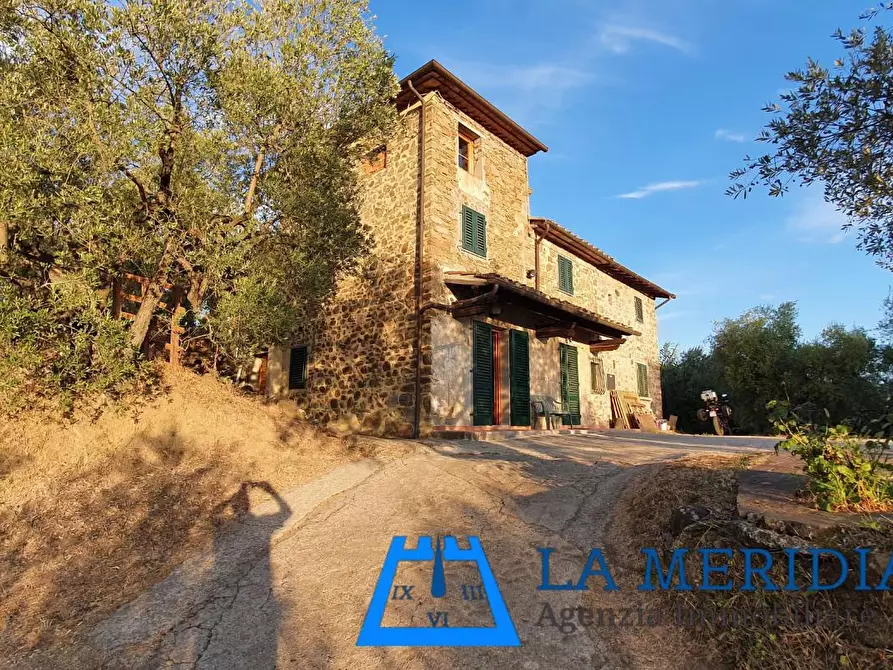 Immagine 2 di Terratetto in vendita  a Lamporecchio