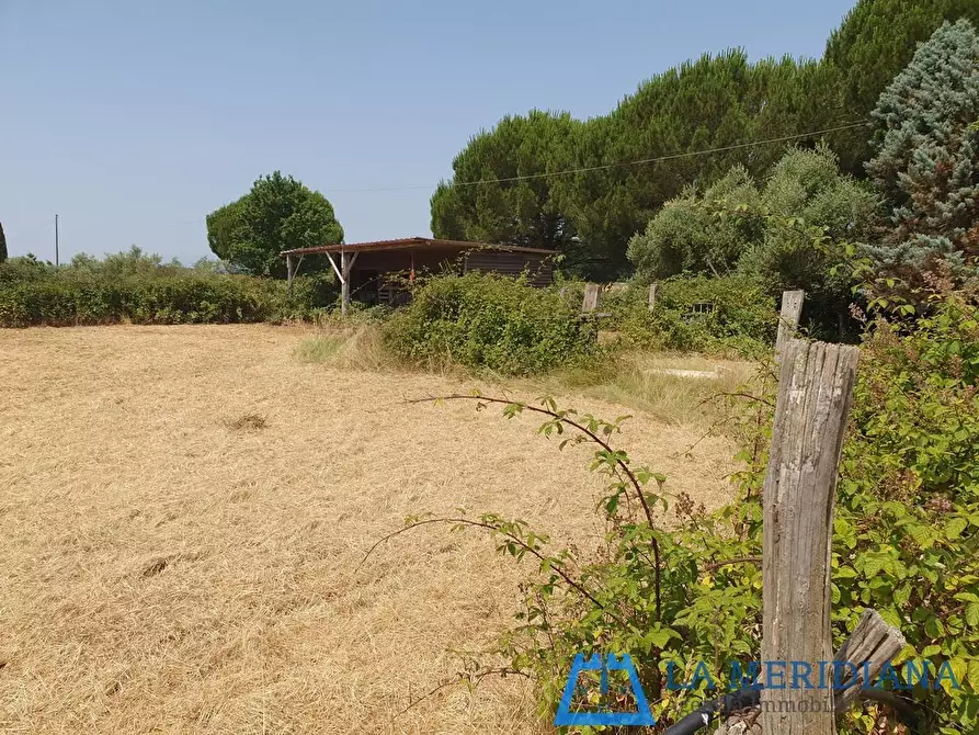 Immagine 3 di Terreno agricolo in vendita  a Lamporecchio