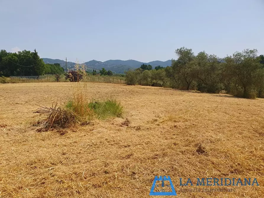 Immagine 4 di Terreno agricolo in vendita  a Lamporecchio