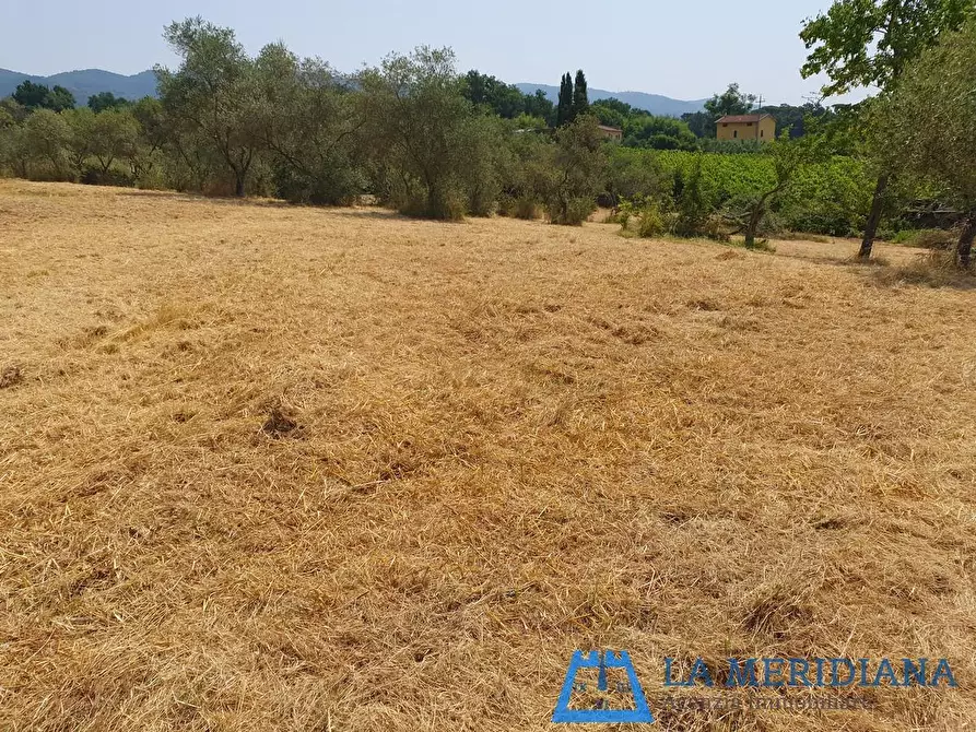 Immagine 5 di Terreno agricolo in vendita  a Lamporecchio