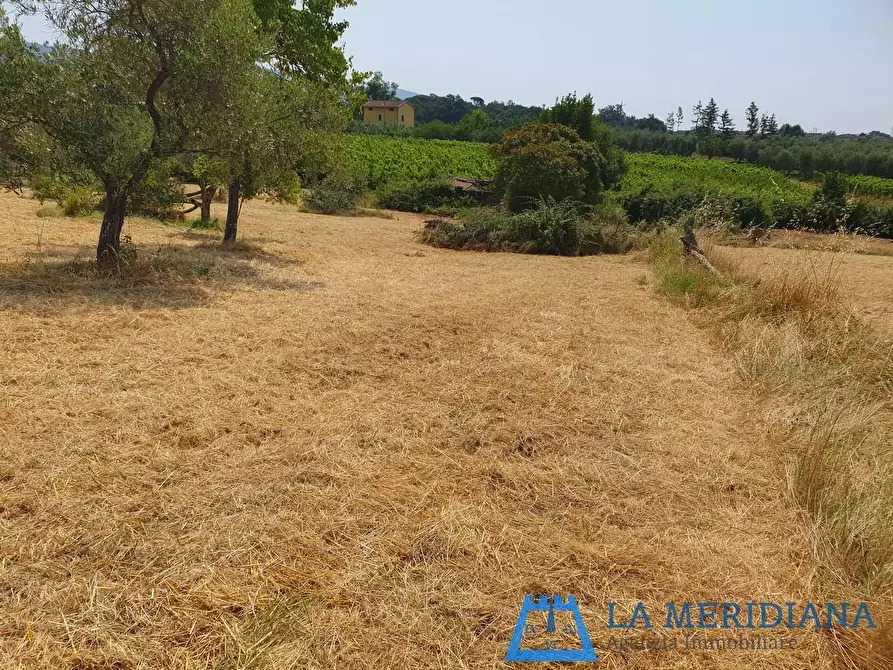 Immagine 2 di Terreno agricolo in vendita  a Lamporecchio