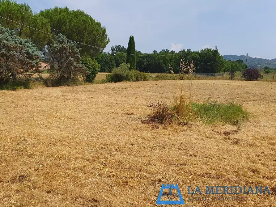Immagine 6 di Terreno agricolo in vendita  a Lamporecchio