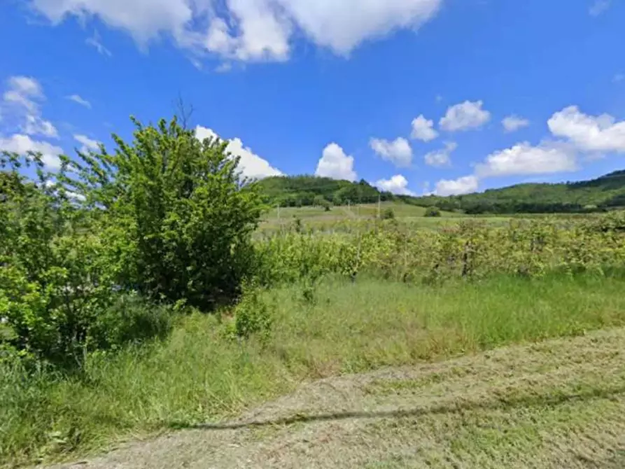 Immagine 5 di Terreno agricolo in vendita  a Borgoratto Mormorolo