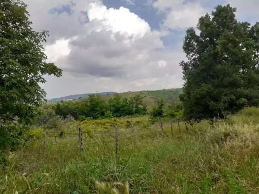 Immagine 9 di Terreno agricolo in vendita  a Borgoratto Mormorolo