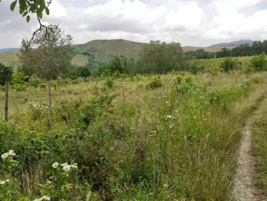 Immagine 8 di Terreno agricolo in vendita  a Borgoratto Mormorolo