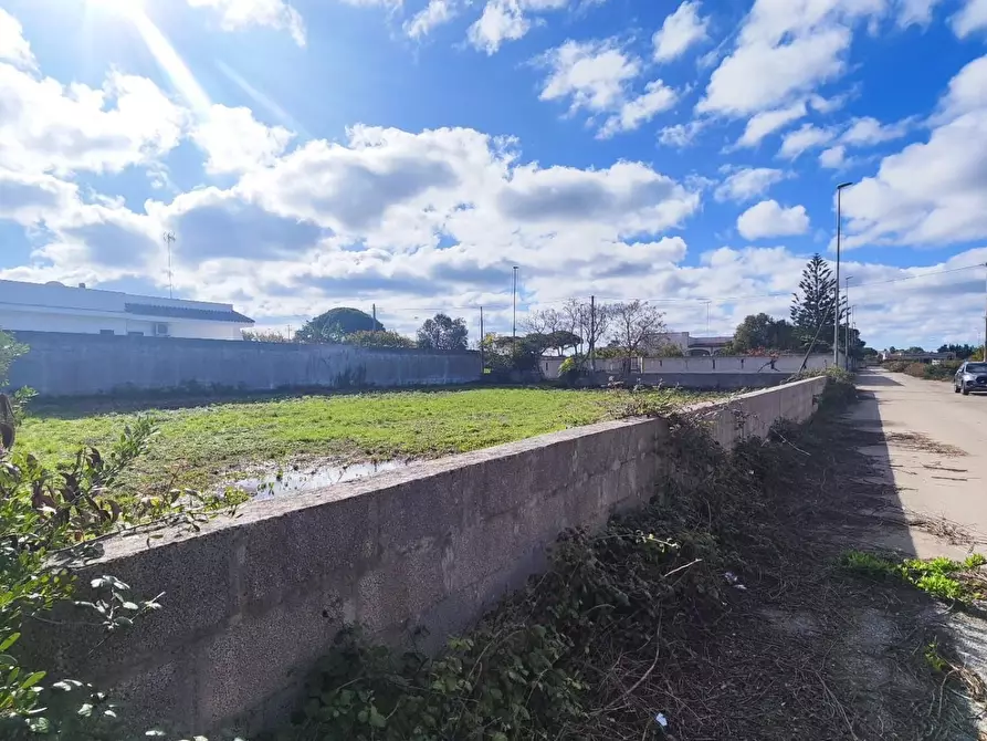 Immagine 8 di Terreno agricolo in vendita  a Lecce