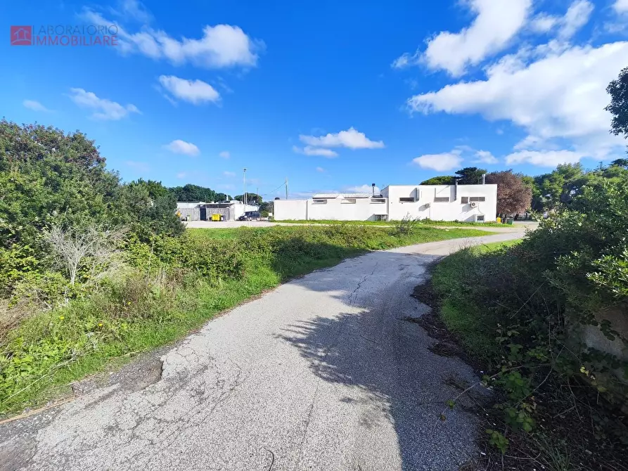 Immagine 11 di Terreno agricolo in vendita  a Lecce