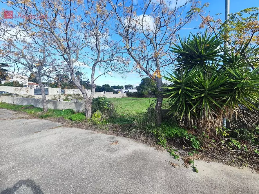 Immagine 4 di Terreno agricolo in vendita  a Lecce