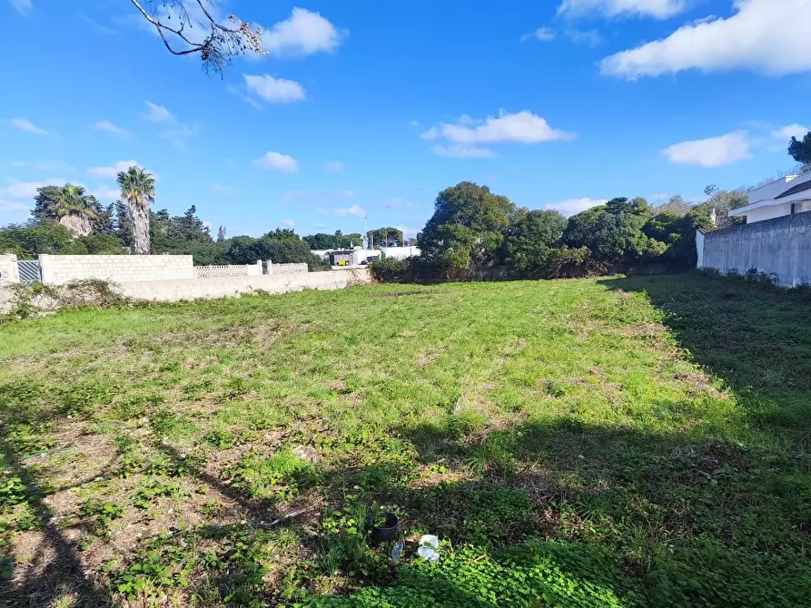 Immagine 7 di Terreno agricolo in vendita  a Lecce