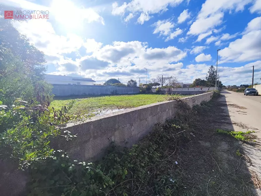 Immagine 5 di Terreno agricolo in vendita  a Lecce