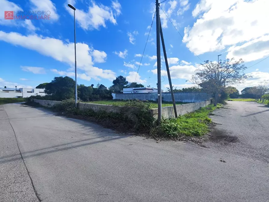 Immagine 2 di Terreno agricolo in vendita  a Lecce