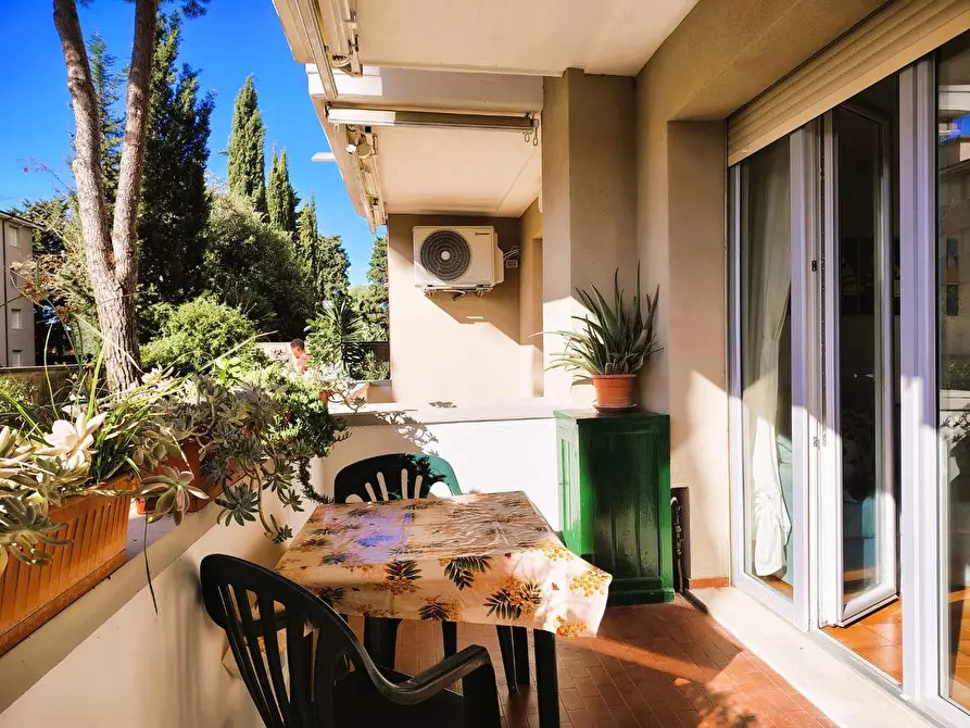 Immagine 13 di Appartamento in vendita  a Rosignano Marittimo