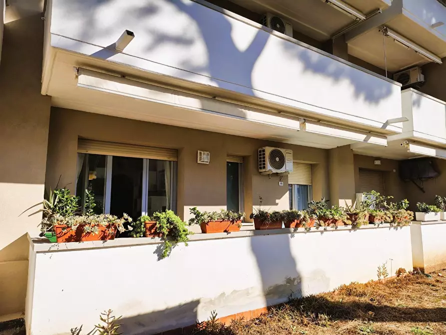 Immagine 15 di Appartamento in vendita  a Rosignano Marittimo