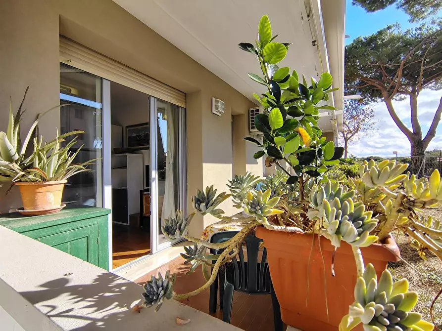 Immagine 16 di Appartamento in vendita  a Rosignano Marittimo