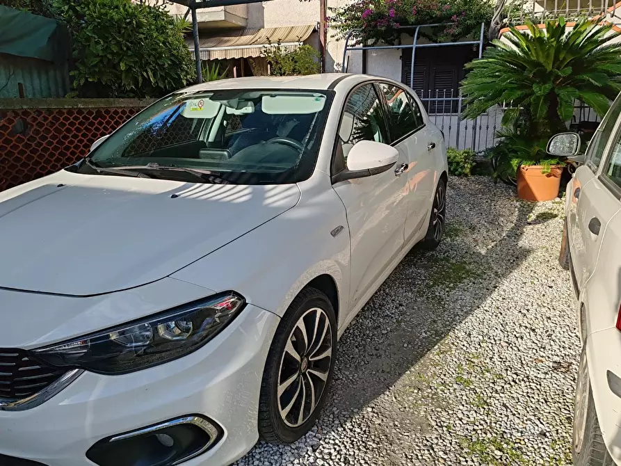 Immagine 27 di Appartamento in vendita  a Massa