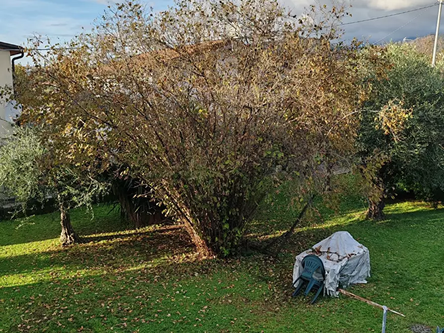 Immagine 23 di Appartamento in vendita  a Massa