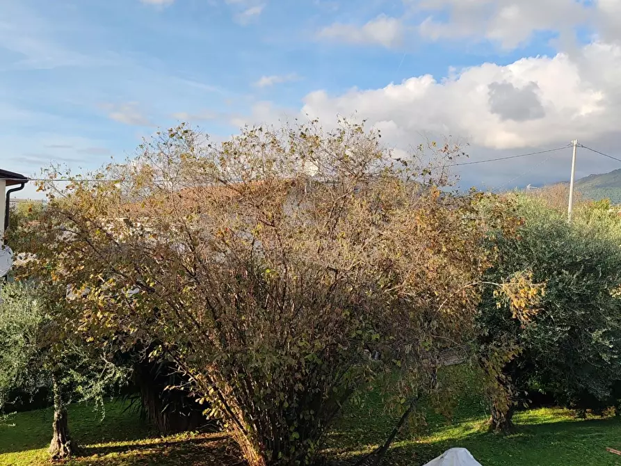 Immagine 25 di Appartamento in vendita  a Massa