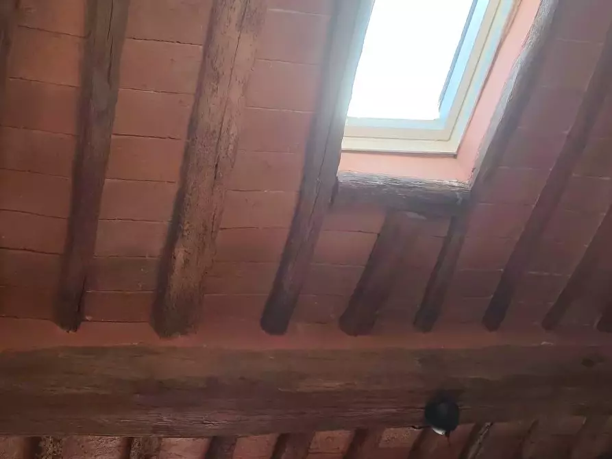 Immagine 5 di Appartamento in vendita  a Pisa