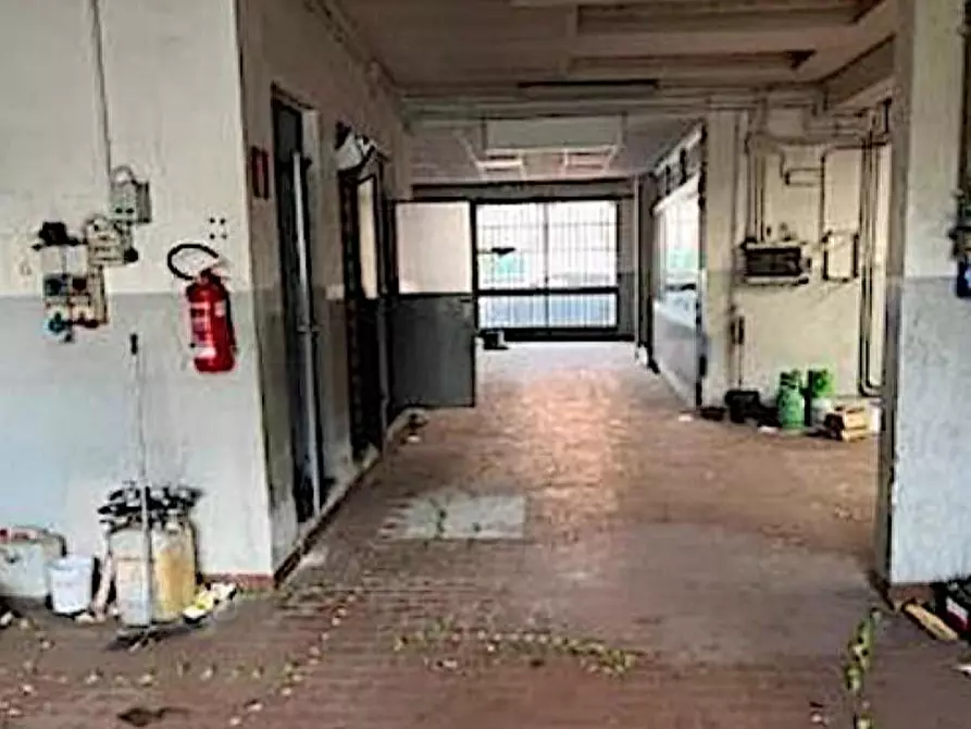 Immagine 9 di Appartamento in vendita  a Mortara