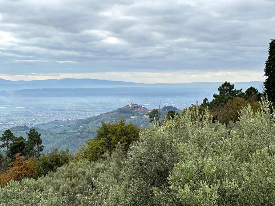 Immagine 35 di Casa colonica in vendita  a Marliana