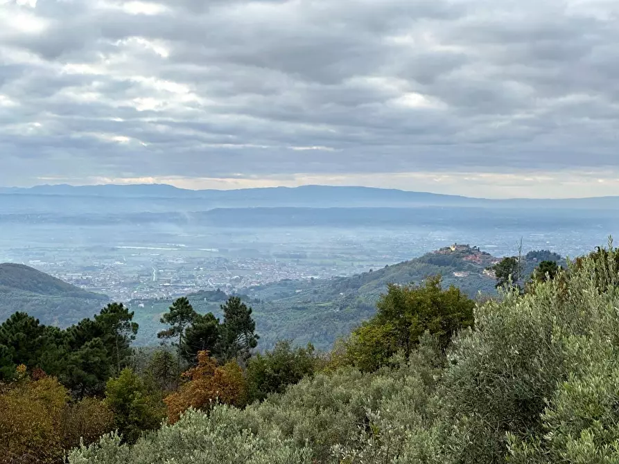 Immagine 36 di Casa colonica in vendita  a Marliana