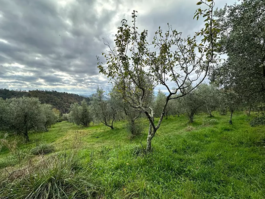 Immagine 31 di Casa colonica in vendita  a Marliana