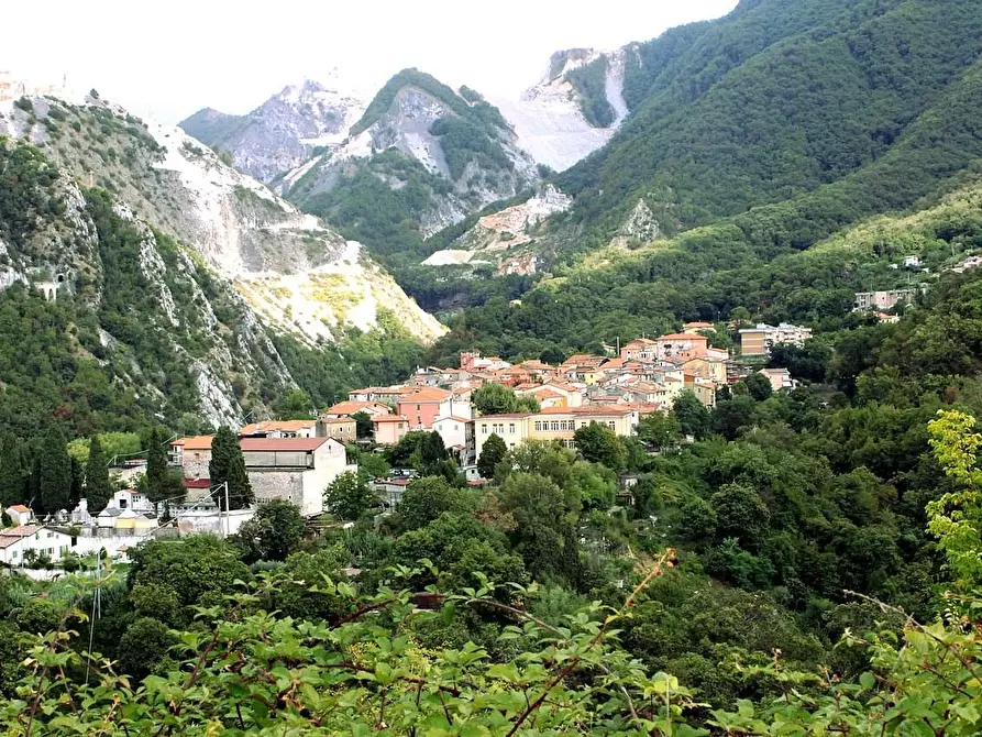 Immagine 20 di Appartamento in vendita  a Carrara