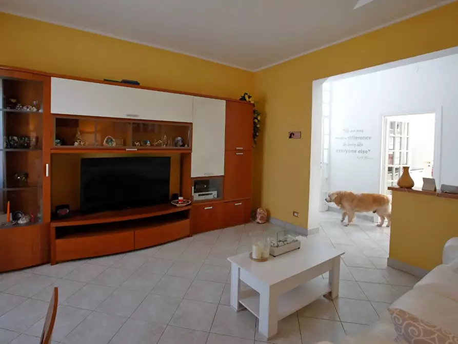 Immagine 8 di Appartamento in vendita  a Livorno