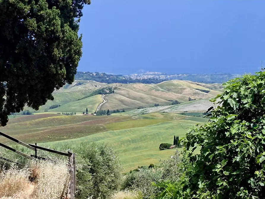 Immagine 41 di Casa colonica in vendita  a Chianni