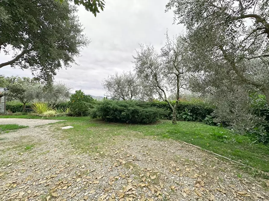 Immagine 26 di Rustico / casale in vendita  a Pescia