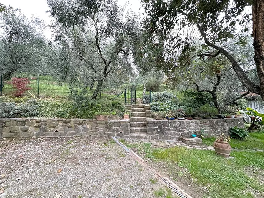 Immagine 27 di Rustico / casale in vendita  a Pescia