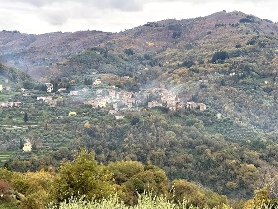 Immagine 22 di Rustico / casale in vendita  a Pescia