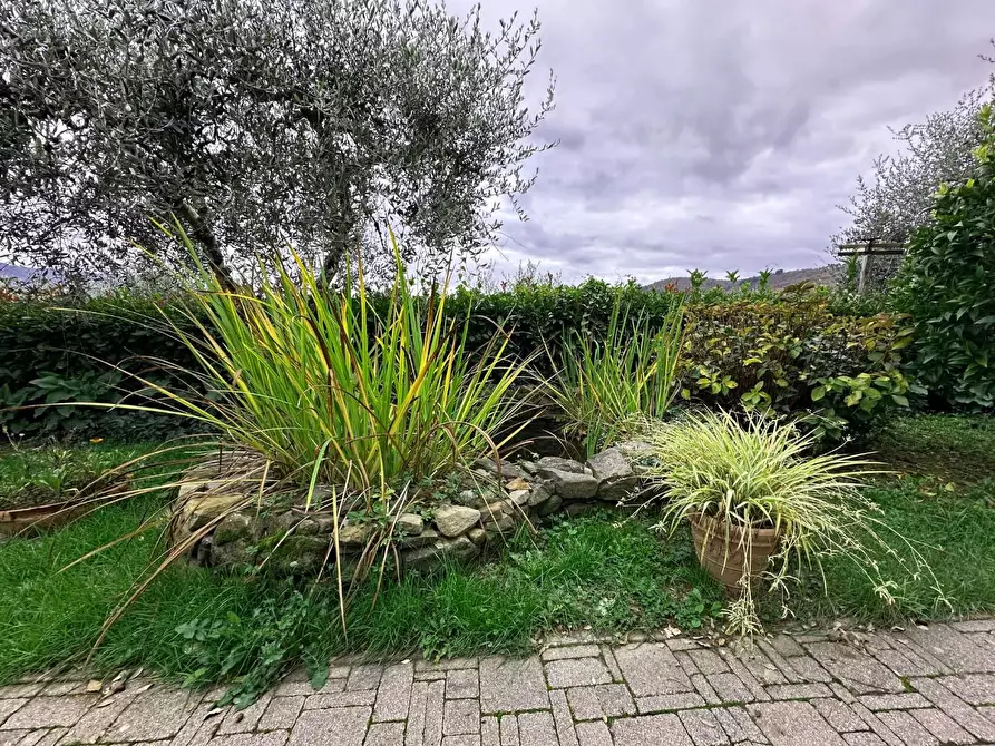 Immagine 28 di Rustico / casale in vendita  a Pescia