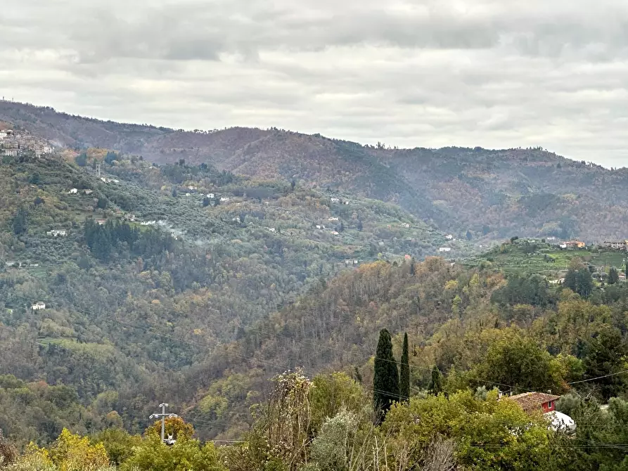 Immagine 23 di Rustico / casale in vendita  a Pescia