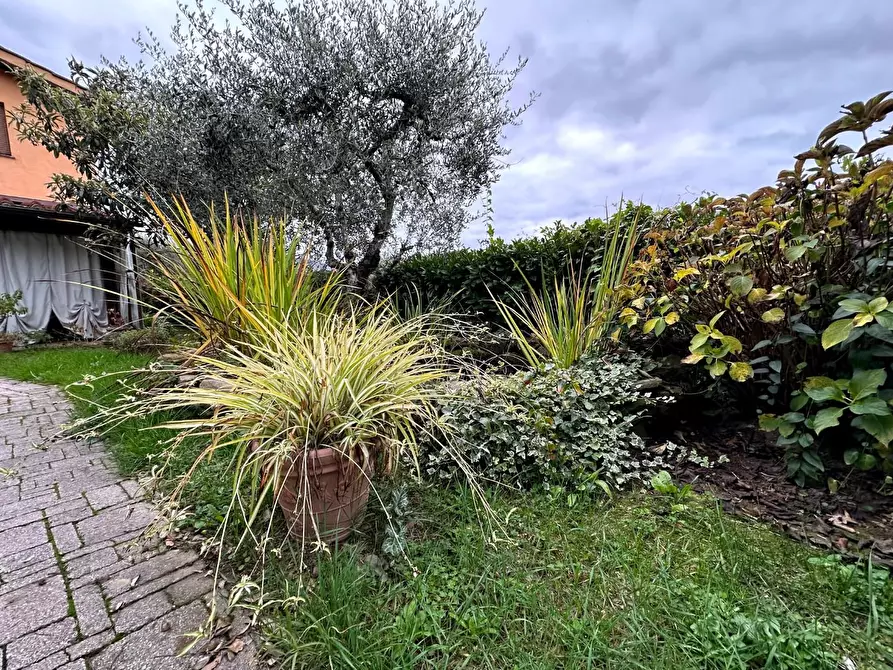 Immagine 30 di Rustico / casale in vendita  a Pescia