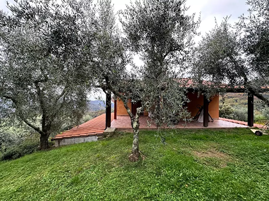 Immagine 21 di Rustico / casale in vendita  a Pescia