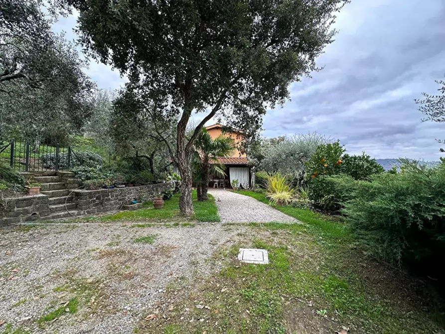 Immagine 2 di Rustico / casale in vendita  a Pescia