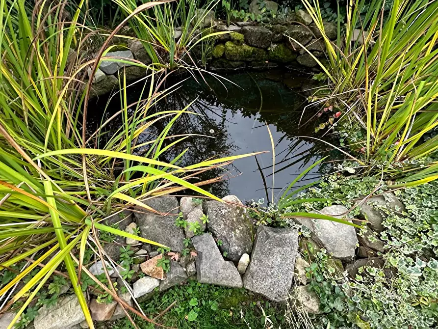 Immagine 29 di Rustico / casale in vendita  a Pescia