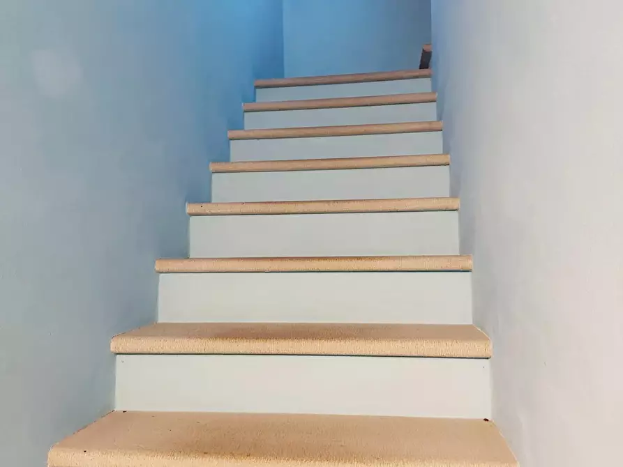 Immagine 14 di Rustico / casale in vendita  a Pescia